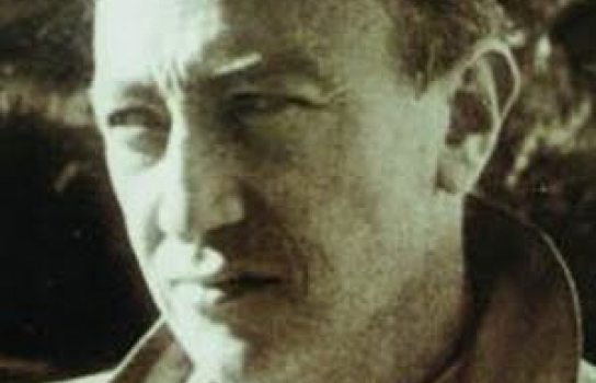 Sabri Esad SİYAVUŞGİL